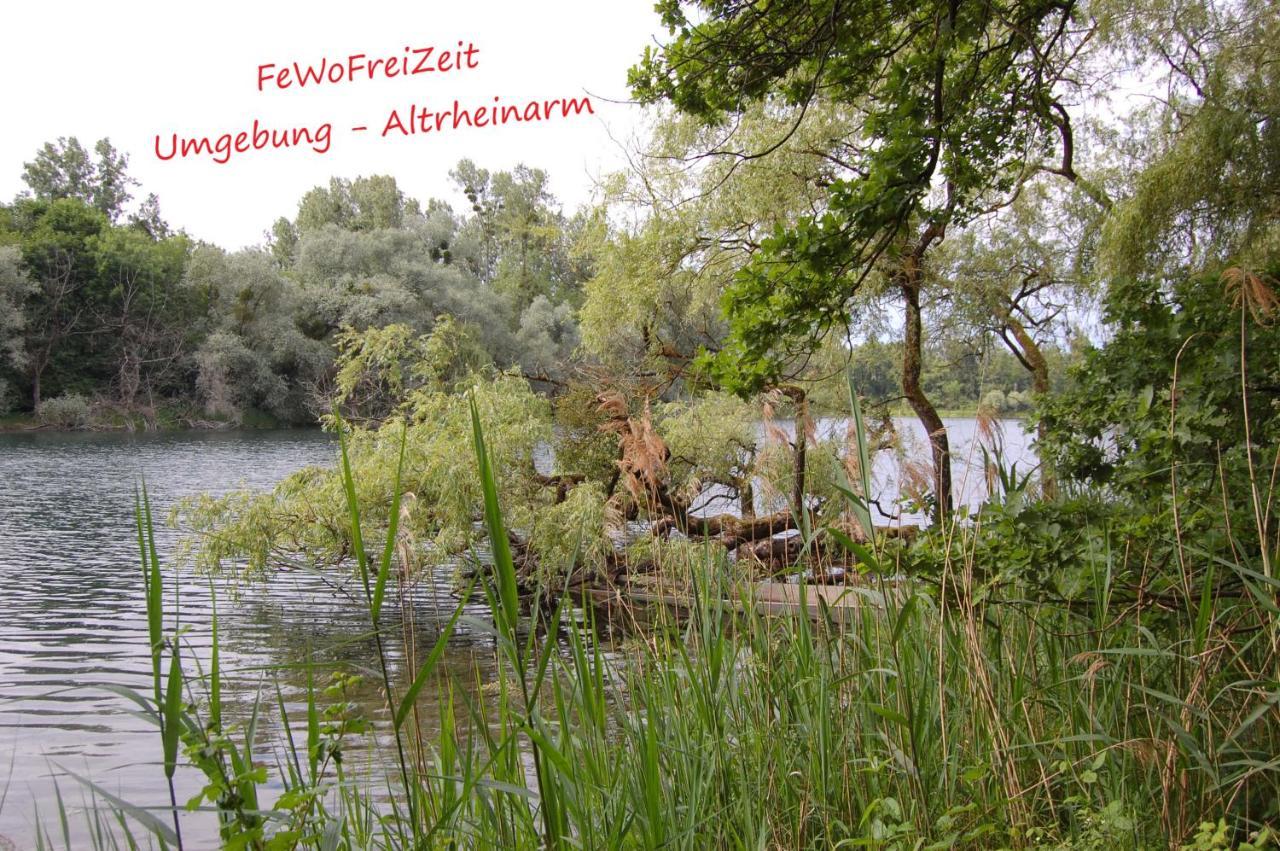 Fewofreizeit Rheinau Exteriör bild
