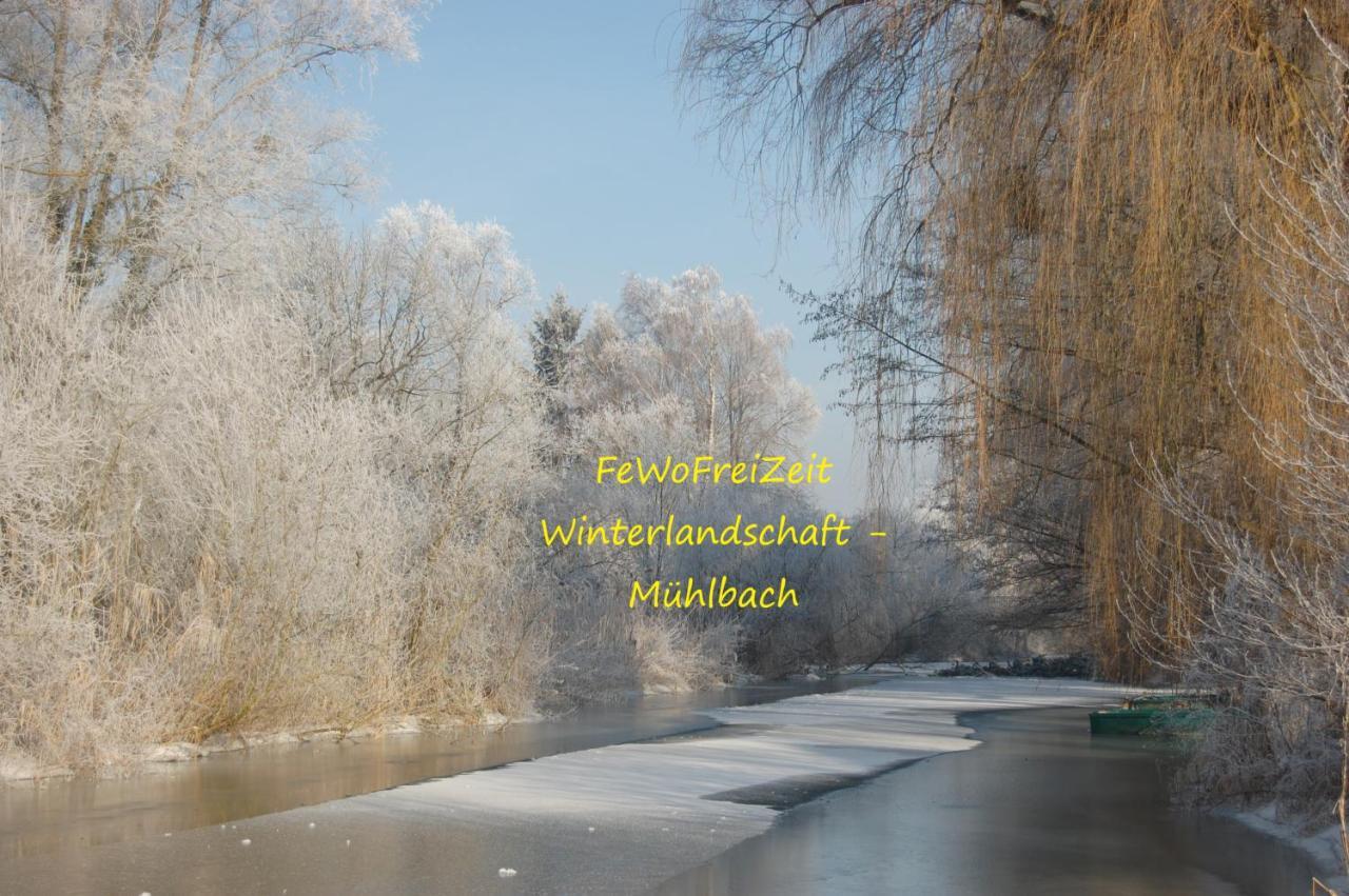 Fewofreizeit Rheinau Exteriör bild