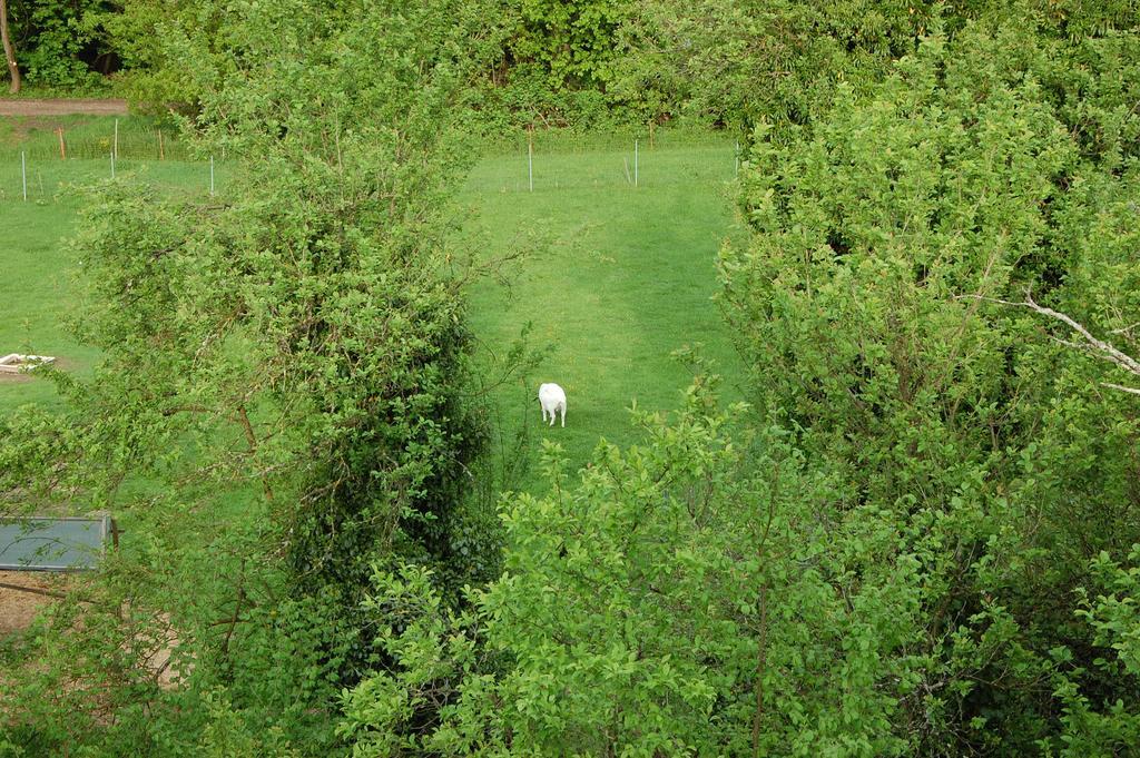 Fewofreizeit Rheinau Exteriör bild